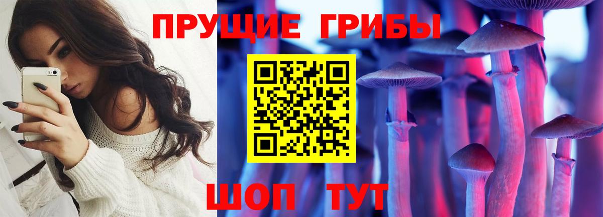 Псилоцибиновые грибы Magic Shrooms  Вход с VPN  продажа наркотиков  Куйбышев  Галлюциногенные грибы Cubensis 